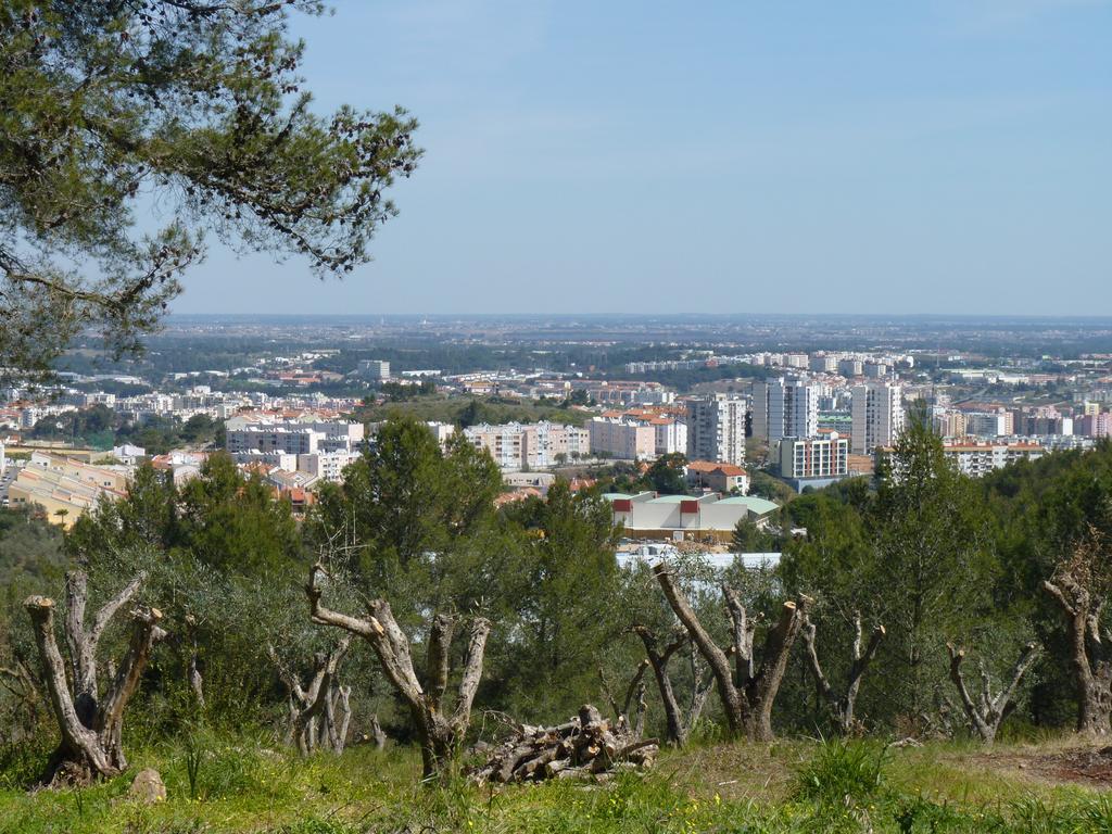 Casal Das Oliveiras Setubal Exterior photo
